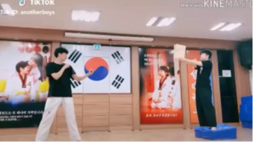 Tổng hợp những video Tiktok với những màn võ thuật Taekwondo cực hay _ nguồn Tik