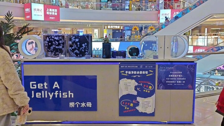 ร้านแมงกะพรุนที่ฉันเปิดอยู่ที่เซี่ยงไฮ้ ปีนี้ก็ต้องสู้ต่อไป!