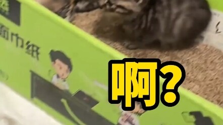 آخر الأخبار: إنها سبعة.