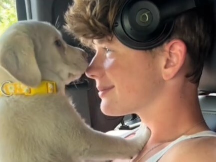 ไม่มีใครปฏิเสธหมาช่างได้หรอก