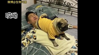 当你养了只爱放屁的狗子