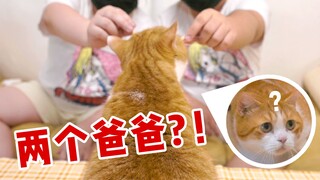 ลองถามพี่ชาย "ฝาแฝด" ของแฟนคุณให้แกล้งเป็นเขาดูสิ แมวจะจำเขาได้หรือเปล่า