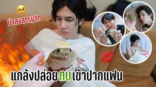 กรี๊ดลั่น! “แกล้งปล่อยกบเข้าปากแฟน” (ตำนานเจ้าชายกบมีจริง) 🐸 | Fararim Story