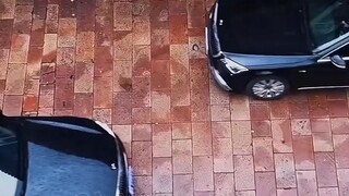 Mê Hoặc ( Ngô Thiêm Hào , Nhạc Vũ Đình ) Full