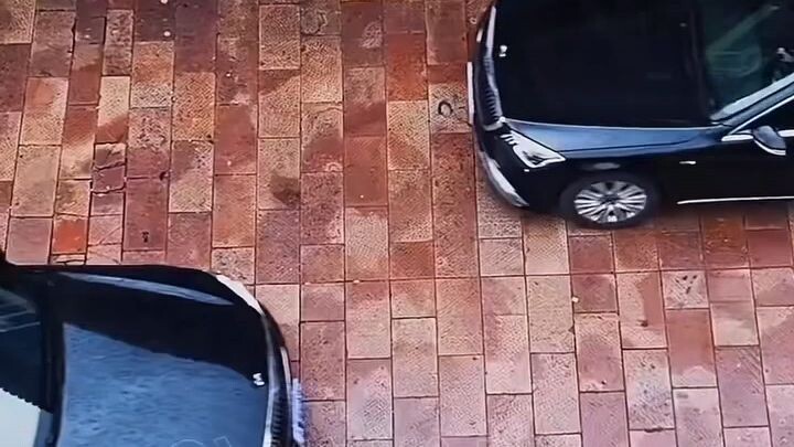 Mê Hoặc ( Ngô Thiêm Hào , Nhạc Vũ Đình ) Full