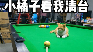 البرتقالة الصغيرة تشاهدني أطهر الطاولة