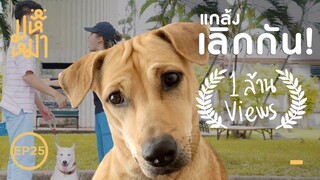 แกล้งเลิกกัน หมาเลือกใคร - มหึหมา EP25