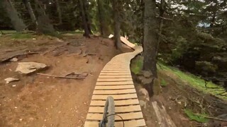 “已经枯萎的花 不再生根发芽 留下了的花 却有百般开法”