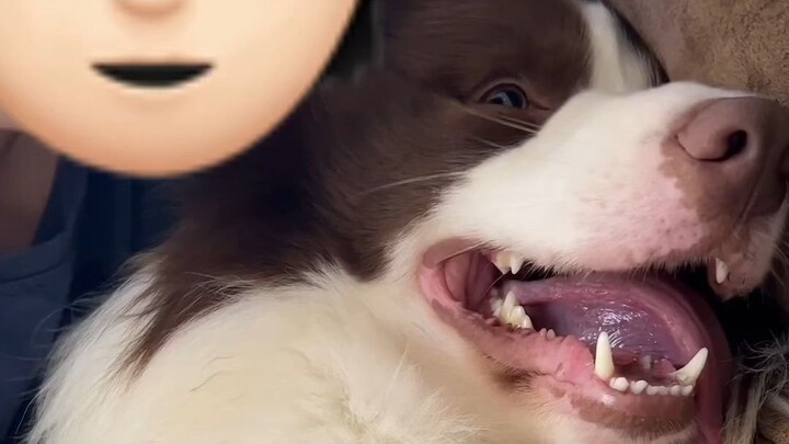 อวี่จื่อ: ฉันไม่บริสุทธิ์แล้ว
