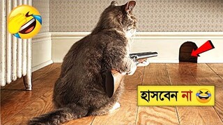 পশু পাখির আজব কান্ড ক্যামেরায় ধরা পড়া | Funny Animals Video 2023। Animal Moments P-50। mayajal