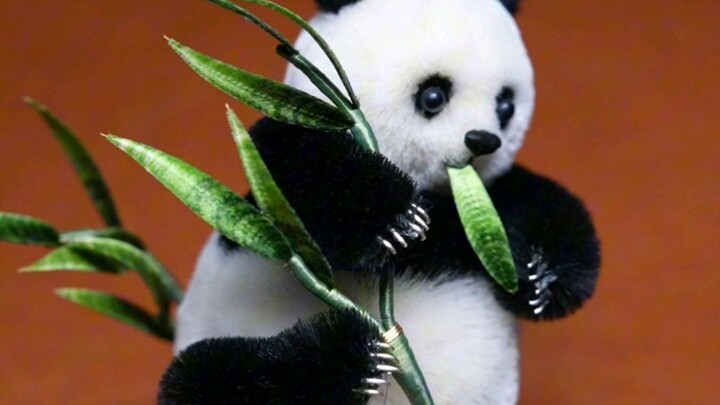 الباندا الصغير يفوز!