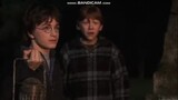 Harry Potter 2 - Follow The Spiders Scene