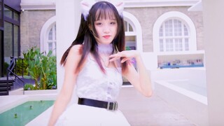 استيقظ سريعًا! دورك تلتقط القطط 🐾AOA-خطوات خفيفة كالقطة Like a cat🐾【يووان】