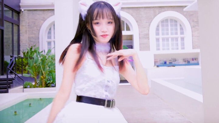 Wake up! It's your turn to pick up the cat🐾AOA-猫步轻悄Like a cat🐾【鱼丸】