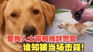 爱狗人士带狗挑衅警官，谁知被当场击毙！