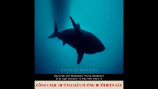 công cuộc đi tìm chân tướng dưới đáy biển sâu | review phim