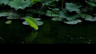 Meng Jiao: I saw all the flowers in Chang'an in one day, but I am just a "poetry prisoner" in the ey