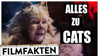 CATS | Alles, was du zum Musicalfilm wissen willst | Filmfakten