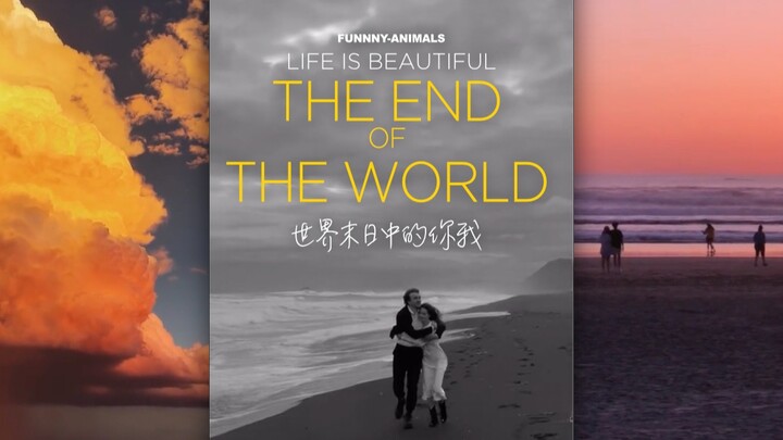 In this chaotic apocalypse, please don't leave.