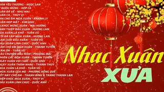 Nhạc Xuân Hải Ngoại Hay NGỌC LAN TUẤN VŨ NHƯ MAI LK Nhạc Xuân Xưa_ 41