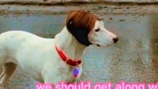 japanese animal dubbing