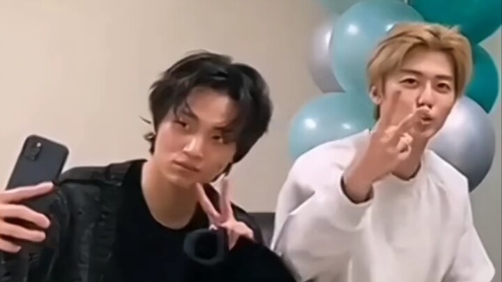 【ชวนตู้】ท่าทางของพวกคุณที่จ้องมองบ้านตัวเองนี่ช่างงดงามจริงๆ…