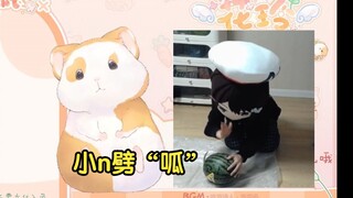 花玲：小n劈瓜我刷到了 【花玲片2】