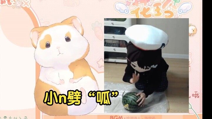 花玲：小n劈瓜我刷到了 【花玲片2】