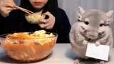 My daily meal with chinchilla is broadcast - dinner on July 8