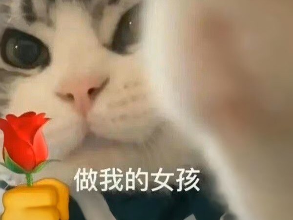 Daily share of hilarious & fun emoji packs!