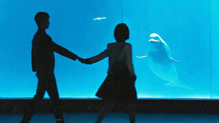 You are more beautiful than the stars