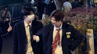 "รักในยามฉุกเฉิน" เวอร์ชั่นซากุระ