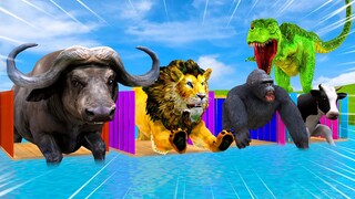 Giant Animals Swimming Pool With Paws in Over Water Gorilla, Cow, T-Rex, Buffalo, Lion Mammoth