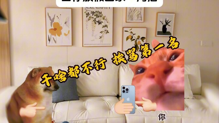 When you’ve been home on vacation for a week