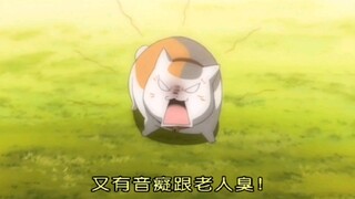 [夏目友人帐]｜ 官方吐槽最致命，猫咪老师要原地爆炸了！！！