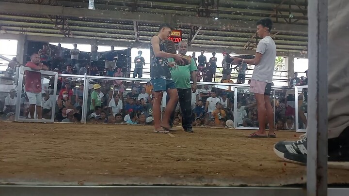 2nd fight 2 hits ulotan  champion