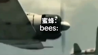 蜜蜂:板载！