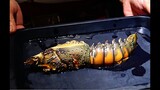 Grilled Lobster , Fried rice , Lemon butter shrimp