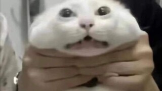 😁