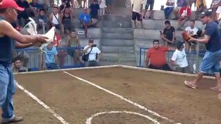my kelso 2nd fight