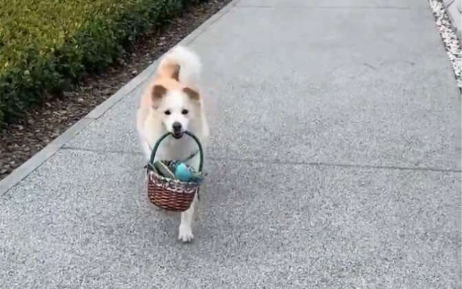 Aku tahu betul niat kecilmu.