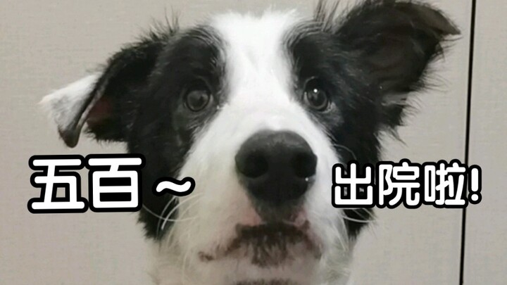 Wu Bai: From now on, please call me Wu Qian!