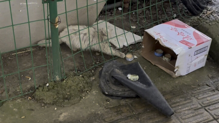 วันที่ไร้ระเบียบ เควสหลักเสร็จสิ้นแล้ว