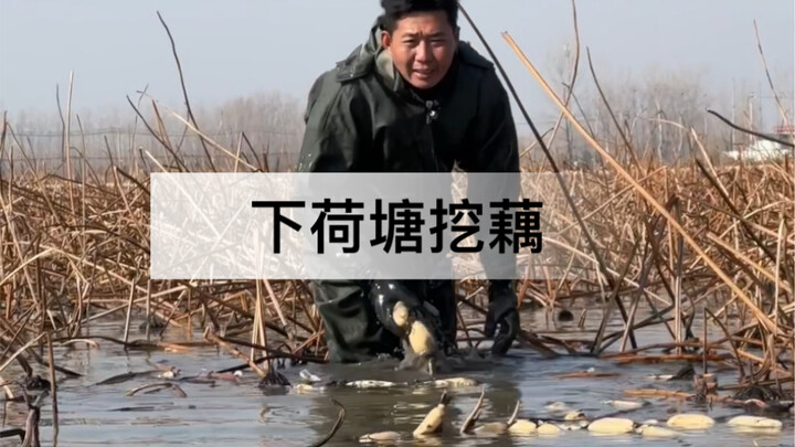 I heard Second Brother’s stomach ailment flared up. So Early This Morning, Big Brother Waded Through