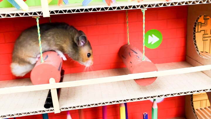 The Great Escape Of The Hamster