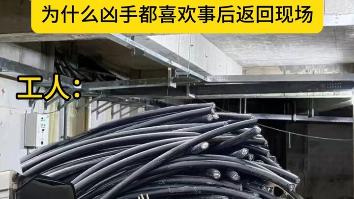Bạn xem này, tôi còn giúp bạn phân tích tình tiết vụ án, như vậy có tính là lập công chuộc tội không