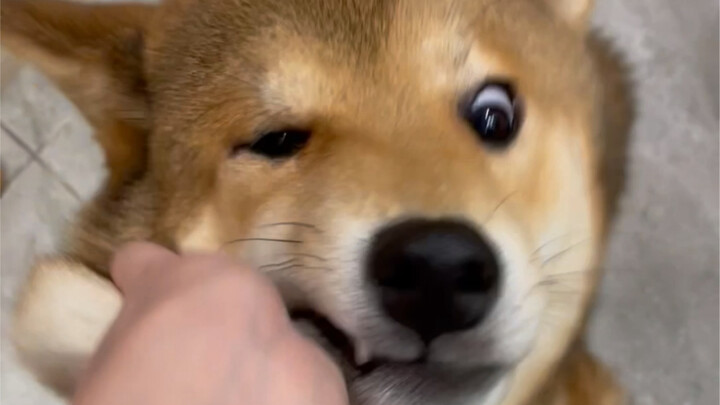 Mom's big boy (still arguing with me)