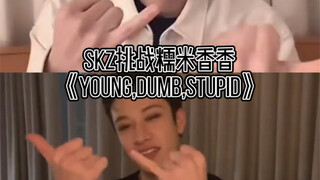 迷人大战《Young, Dumb, Stupid》