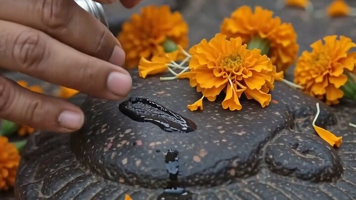 इस मंदिर में काजल और दूध चढ़ाने से ठीक होती हैं आँखें? 🚩 Miracle Temple of Bihar  #MaaChandika