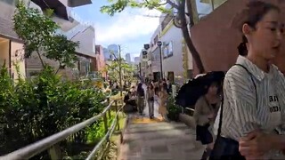 y2mate.com - Harajuku to Shibuya Tokyo walk tour　4K5202320_360p